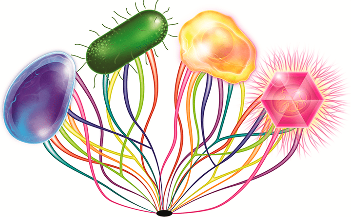 Гигантские вирусы: 4-й домен жизни?