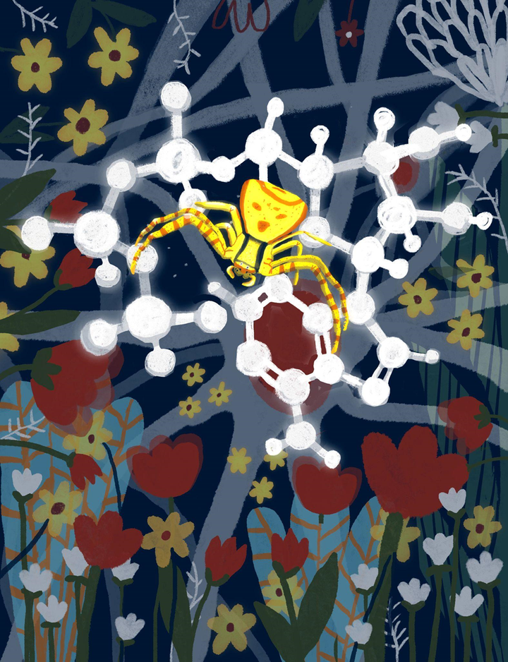 Лекарство из будущего: пептидный анальгетик на основе пуротоксина из яда паука