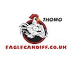 ĐÁ GÀ TRỰC TIẾP VIN eaglecardi