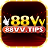88VV TIPS