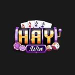 Haywin scom