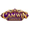 CAMWIN Game
