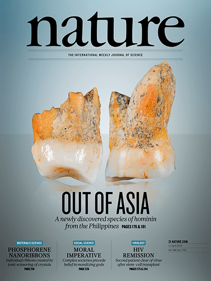 SciNat за апрель 2019 #2: влияние долгой космической миссии на организм астронавта, новый вид древних <em>Homo</em> и роль антидепрессантов в восстановлении синапсов