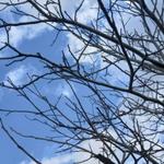 Ирина Шматкова