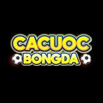 Cá Cược Bóng Đá