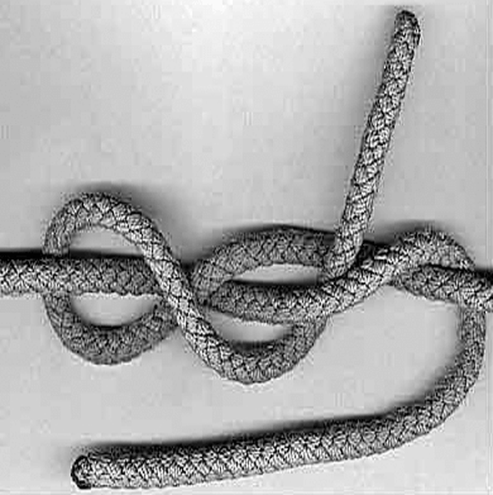 Белки против РНК — кто первым придумал сплайсинг?