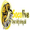 socolive sorg