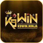 K9win Ninja