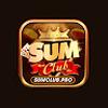 Sumclub Pro