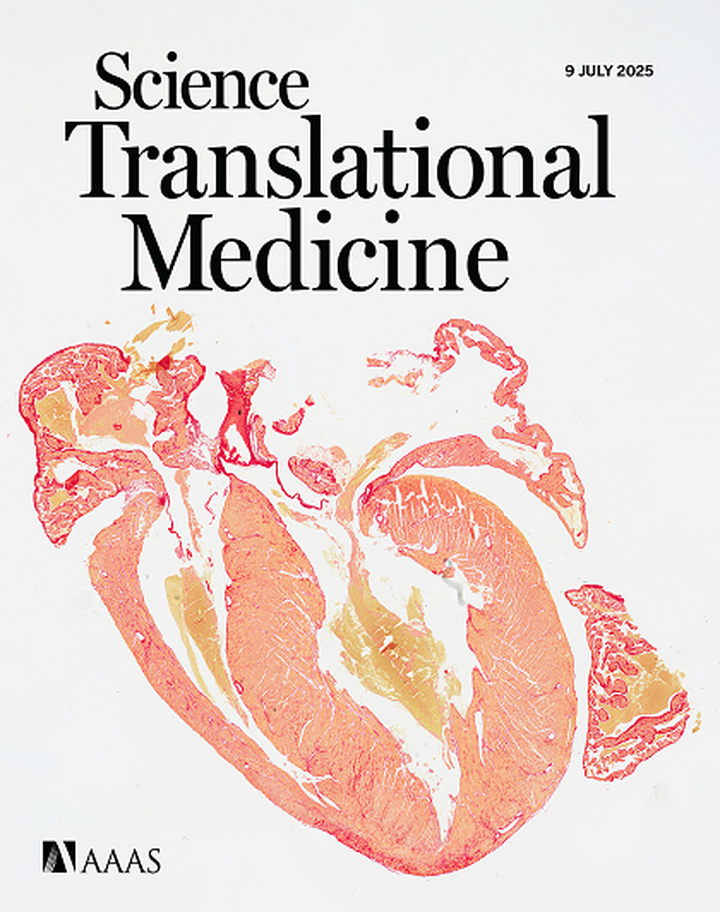 SciNat за июль 2025 #2: кислородный мост между органеллами, пептиды против болезни Альцгеймера и древние белки зубной эмали