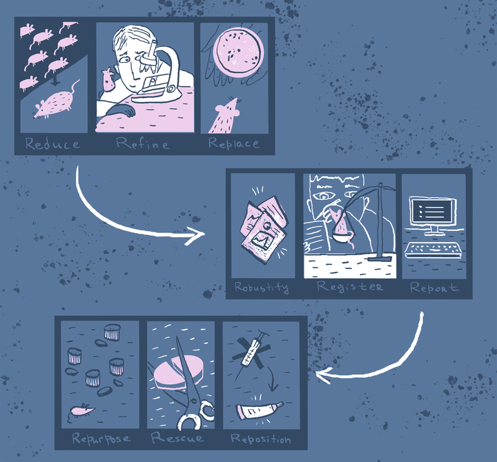 Проблемы, тренды и точки роста доклинических исследований