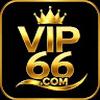 vip66 ink
