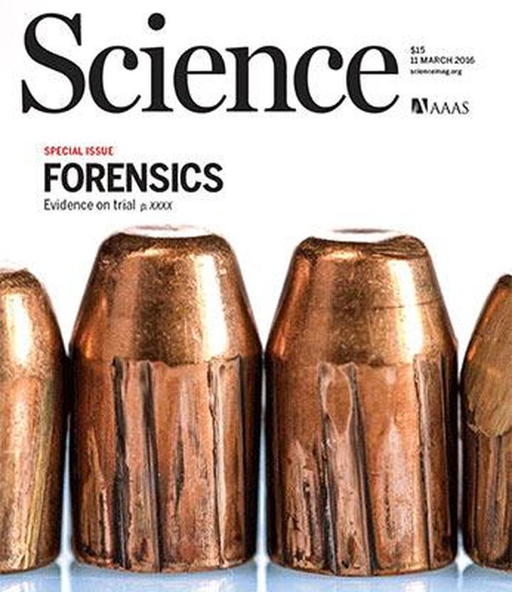 SciNat за март 2016 #2: кухонные приборы для роста мозга, биология для криминалистики и слабые места раковых клеток