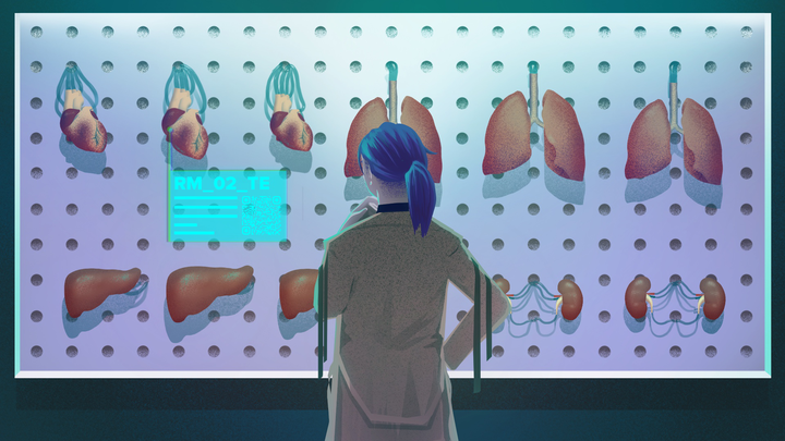 Тканевая инженерия и что она может предложить сегодня