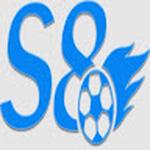 S8