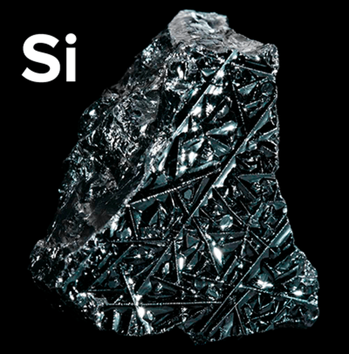<em>In vivo — in vitro — in silico</em>