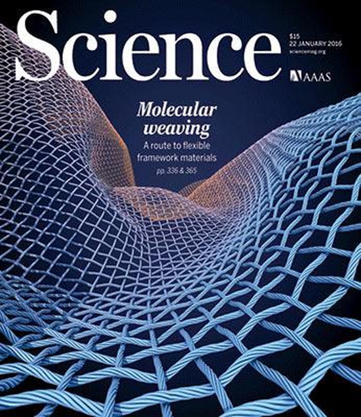 SciNat за январь 2016 #4: некодирующие РНК бактерий, полёвки-утешители и гибель клеток для развития корней