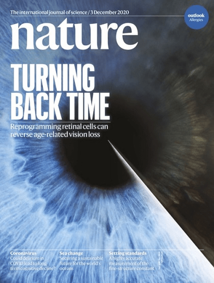 SciNat за декабрь 2020 #1: прозревшие слепые, враждующие корни и изоляция рыб