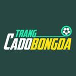 Trangcadobongdanews1 Trangcadobongdanews1