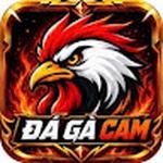 ĐÁ GÀ CAM