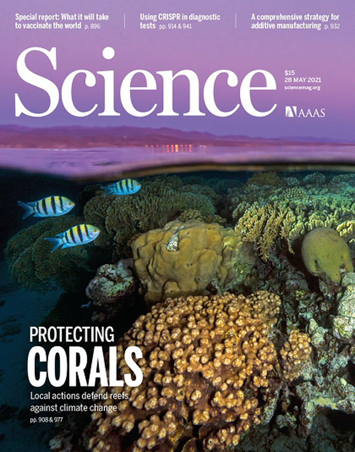 SciNat за май 2021 #5: коронавирус, структура хроматина и угроза рыбам Северного полушария и кораллам по всему миру