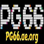 PG66 AE