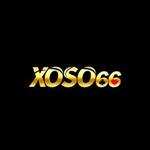 XO66ox net