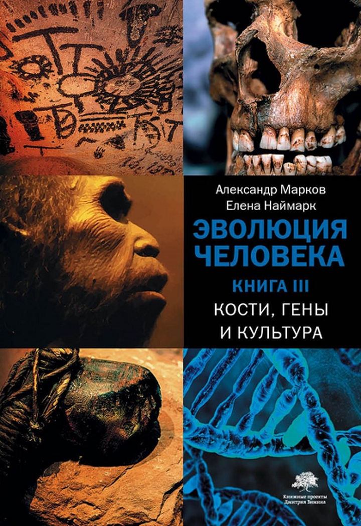 Александр Марков, Елена Наймарк: «Эволюция человека. Книга 3. Кости, гены и культура». Рецензия