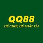 QQ8876 Net