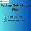 BackupQB Files