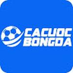 Cá Cược Bóng Đá