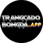 Trang Cá Cược Bóng Đá