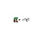 E cigi bolt