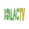 Xoilac TV Trực Tiếp Bóng Đá