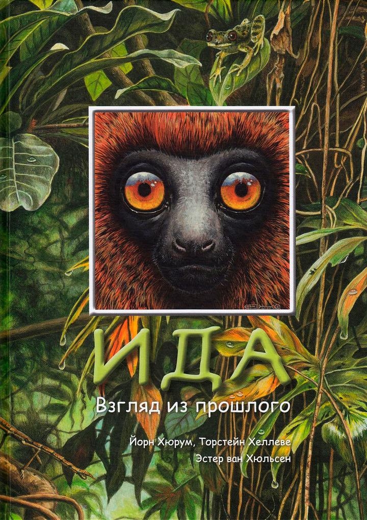 Хюрум Йорн, Хеллеве Торстейн: «Ида. Взгляд из прошлого». Рецензия