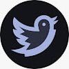 XTwitterVid X Downloader
