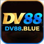 DV 88