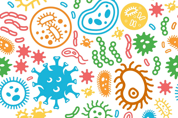 Кто живет во рту у медведя