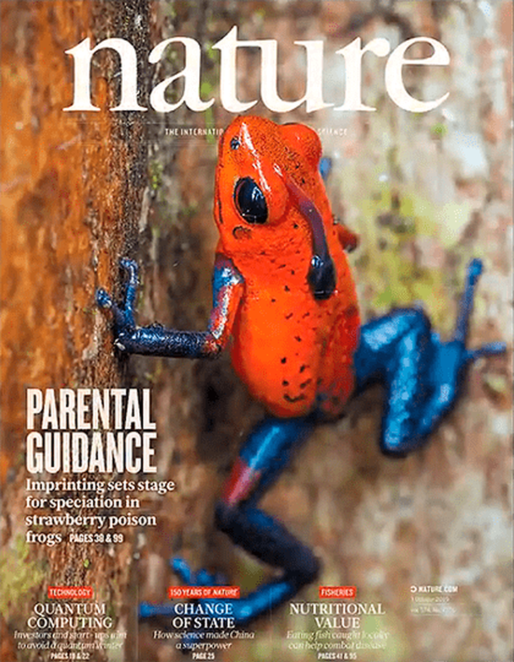 SciNat за октябрь 2019 #1: онкологические заболевания, влияние «семьи» лягушки <em>Oophaga pumilio</em> на выбор партнера и нейробиология речи