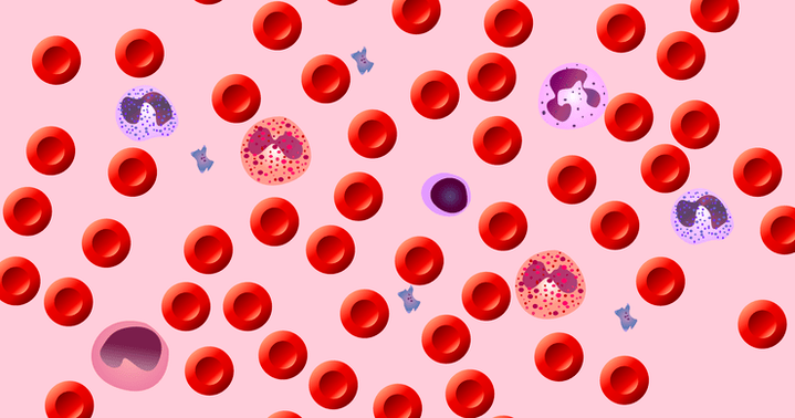 Что они делают с нашей кровью? Это уже клиника!