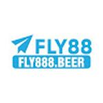 Fly888 beer