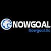 Nowgoal llc