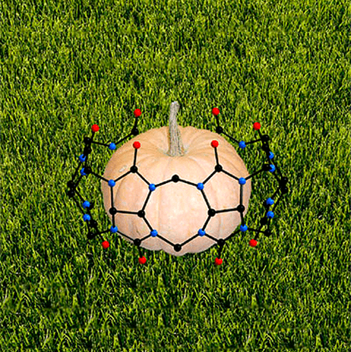 Биология и химия: перспектива научного поиска, или Супрамолекулярная химия изучает кукурбитурил