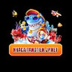 Nhacaitangtienjp Net