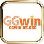 ggwin aeorg