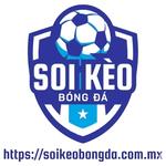soi kèo bóng đá