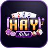 Haywin Cv