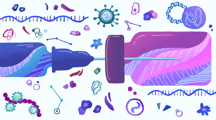Противораковые мРНК-вакцины: инструкция для победы иммунитета