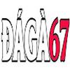 ĐÁ GÀ 67