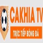 bickellfoundation.org scam